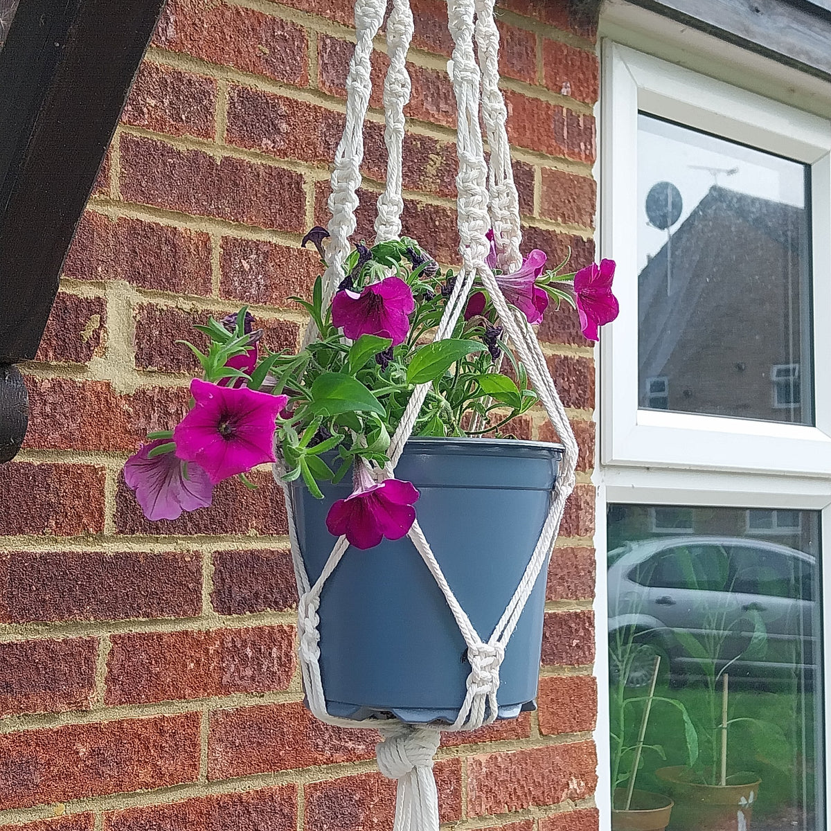 Macrame Plant Hanger